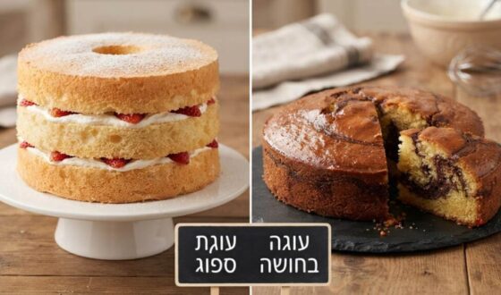 עוגה בחושה או עוגת ספוג: מה ההבדל ואיך לבחור נכון?