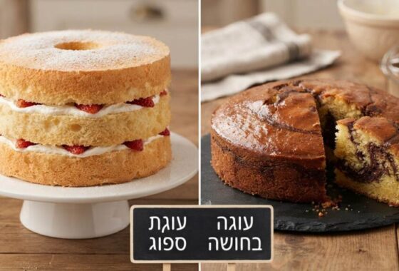 עוגה בחושה או עוגת ספוג: מה ההבדל ואיך לבחור נכון?