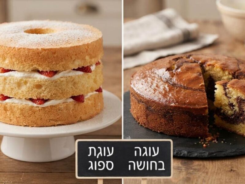 עוגה בחושה או עוגת ספוג: מה ההבדל ואיך לבחור נכון?