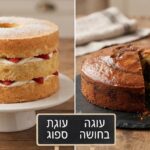 עוגה בחושה או עוגת ספוג: מה ההבדל ואיך לבחור נכון?